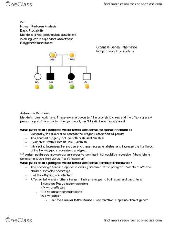 BIOL 205 Lecture Notes - Lecture 3: Pseudoachondroplasia, Cystic Fibrosis, Haploinsufficiency thumbnail