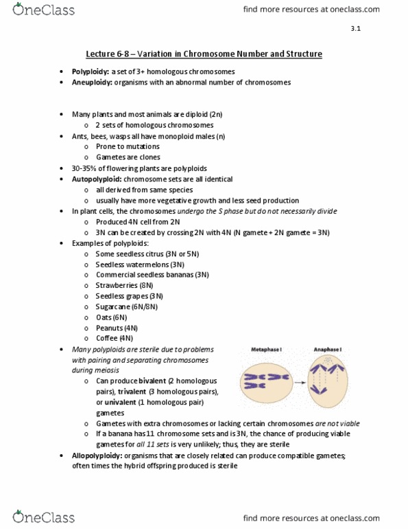 MBG 2040 Lecture Notes - Lecture 6: Homologous Chromosome, Ploidy, Fundamental Theorem Of Arithmetic thumbnail