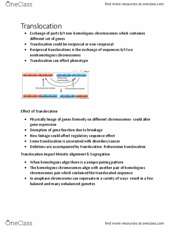BIOL 1000 Chapter Notes - Chapter 10.2: Centromere, Regulatory Sequence, Hemoglobin thumbnail
