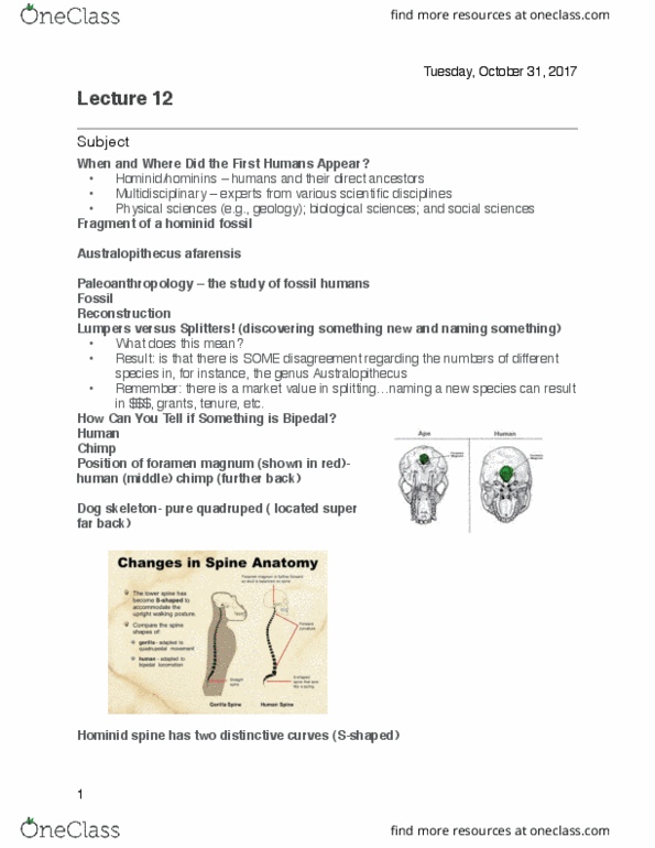 ANTHROP 1AA3 Lecture Notes - Lecture 12: Sandie Shaw, Foramen Magnum, Australopithecus thumbnail