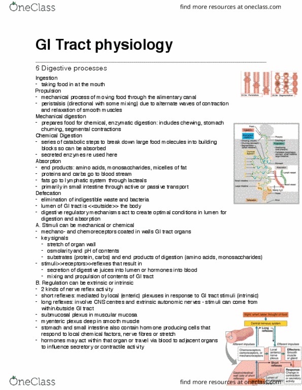 ANP 1107 Lecture 1: GI Tract physiology thumbnail