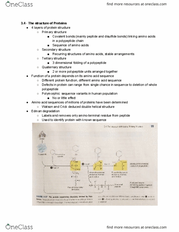 BME 20100 Chapter Notes - Chapter 3.4: Electrospray Ionization, Edman Degradation, N-Terminus thumbnail