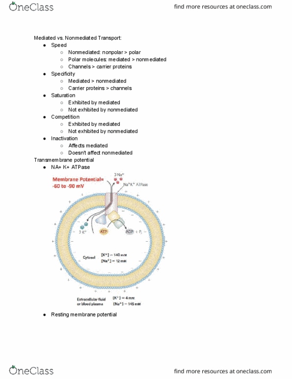 BME 20100 Lecture Notes - Lecture 11: Membrane Potential, Pipette, Connexin thumbnail