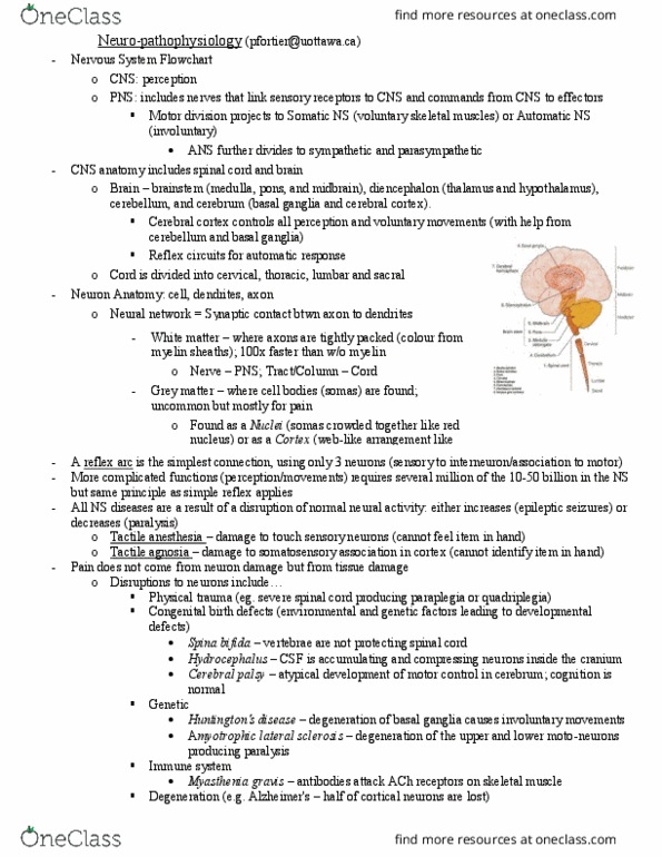 PHS 4300 Lecture Notes - Lecture 6: Amyotrophic Lateral Sclerosis, Cerebral Palsy, Dorsal Root Ganglion thumbnail