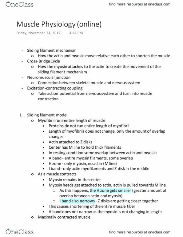 KINESIOL 2Y03 Lecture Notes - Lecture 53: Sliding Filament Theory, Endoplasmic Reticulum, Neuromuscular Junction thumbnail