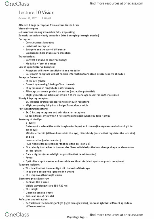 AN SC310 Lecture Notes - Lecture 10: Tapetum Lucidum, Zonule Of Zinn, Ciliary Body thumbnail