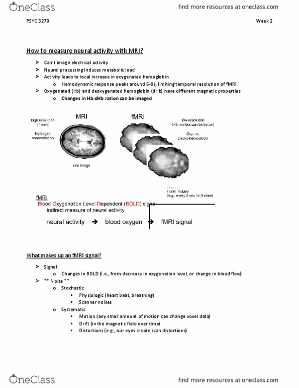 PSYC 3270 Lecture Notes - Lecture 3: Visual Cortex, Voxel, Proceedings Of The National Academy Of Sciences Of The United States Of America thumbnail