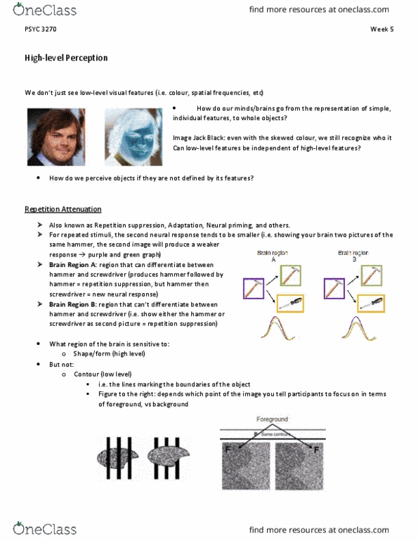 PSYC 3270 Lecture Notes - Lecture 5: Fusiform Face Area, Fusiform Gyrus, Voxel thumbnail