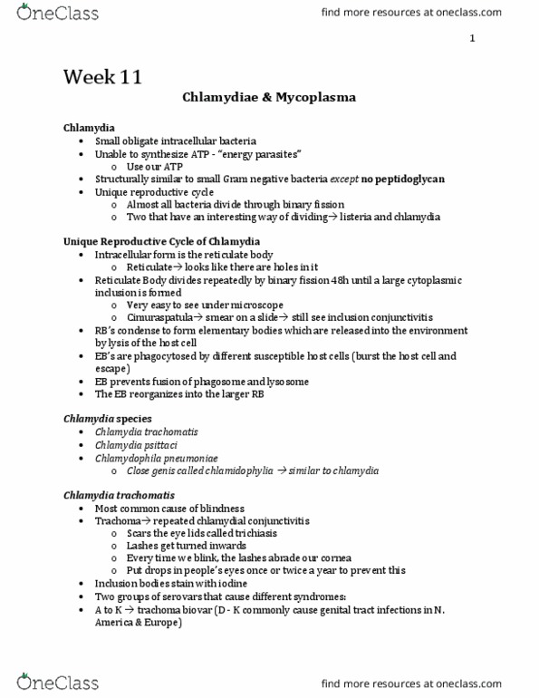 Microbiology and Immunology 3820A Lecture Notes - Lecture 11: Lymphogranuloma Venereum, Chlamydophila Psittaci, Chlamydia Trachomatis thumbnail