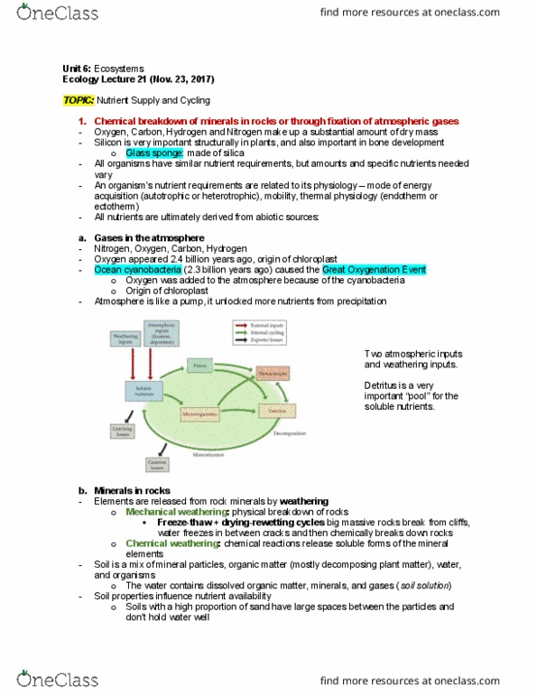 Biology 2483A Lecture Notes - Lecture 21: Great Oxygenation Event, Nutrient Cycle, Soil Ph thumbnail