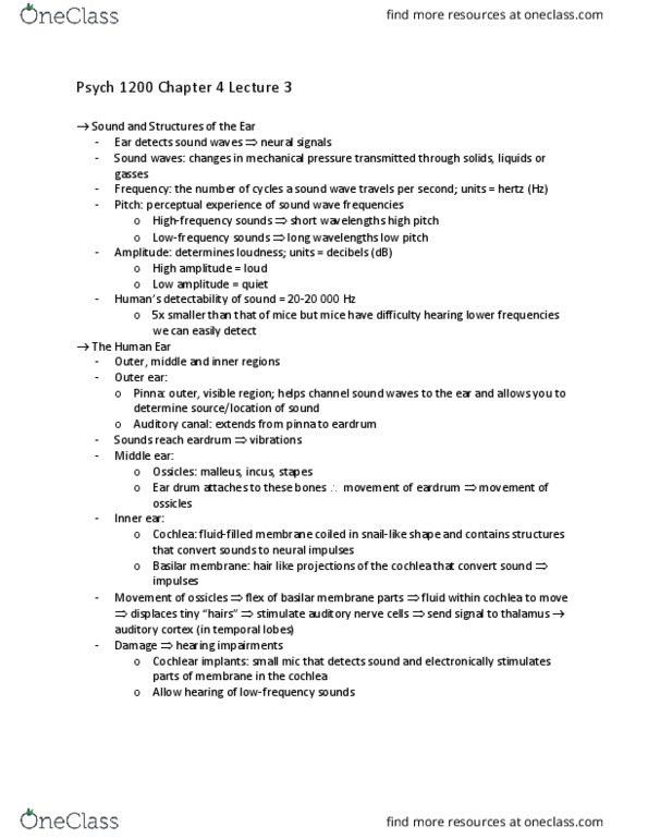 PSYC 1200 Lecture Notes - Lecture 3: Basilar Membrane, Eardrum, Cochlear Implant thumbnail