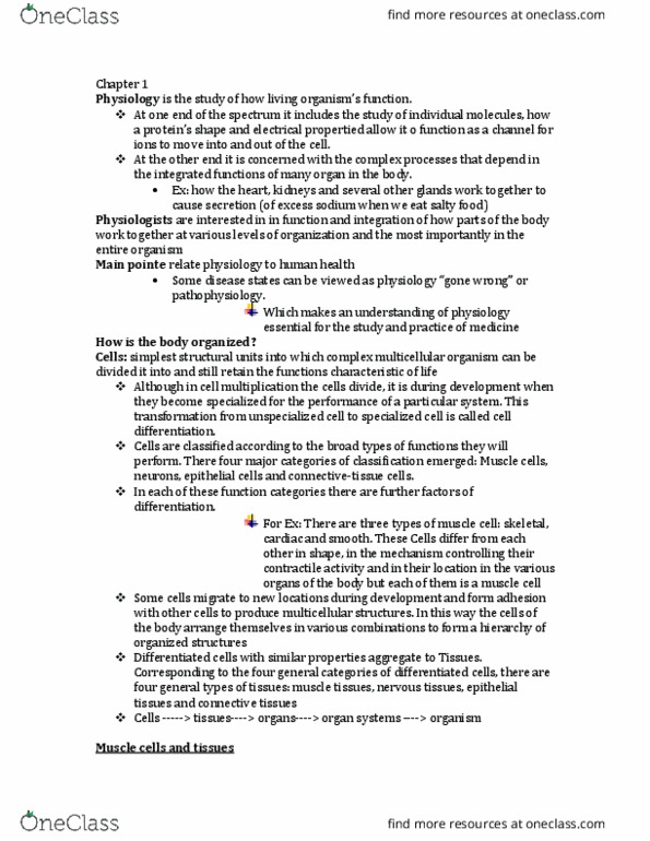 CAS BI 315 Chapter Notes - Chapter Chapter 1: Multicellular Organism, Skeletal Muscle, Nervous Tissue thumbnail