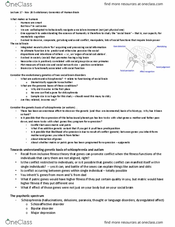 Biology 3436F/G Lecture Notes - Lecture 17: Schizoaffective Disorder, Bipolar Disorder, Schizotypy thumbnail