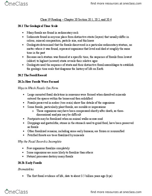 Biology 1001A Chapter Notes - Chapter 20: Gastrolith, Dimensional Analysis, Stromatolite thumbnail