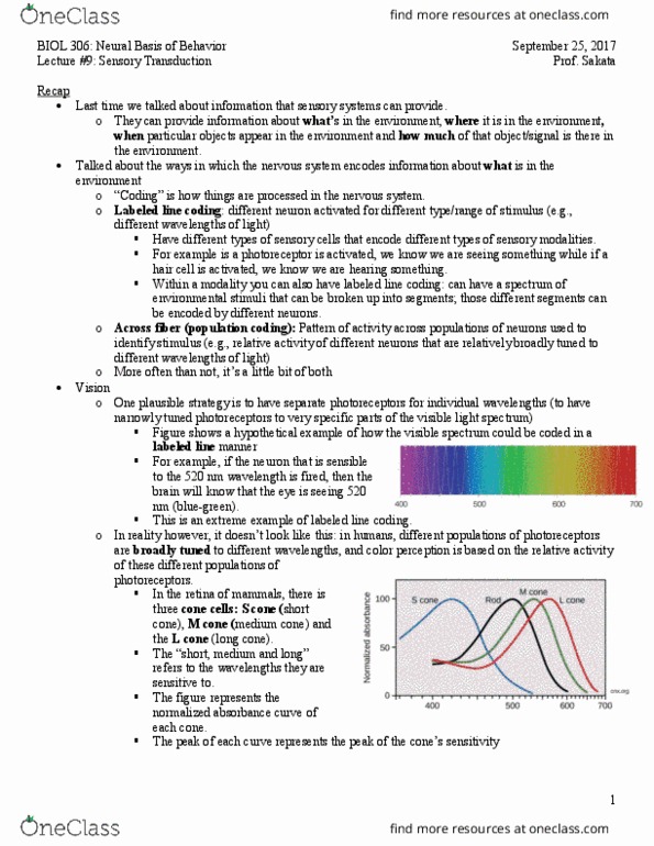 BIOL 306 Lecture Notes - Fall 2017, Lecture 9 - Neural Coding, Sensory ...