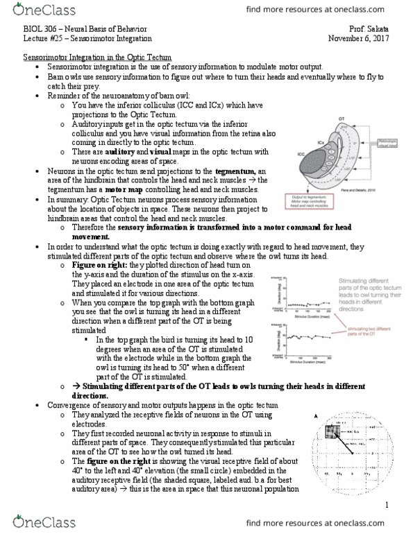 BIOL 306 Lecture Notes - Lecture 25: Superior Colliculus, Inferior Colliculus, Midbrain Tectum thumbnail
