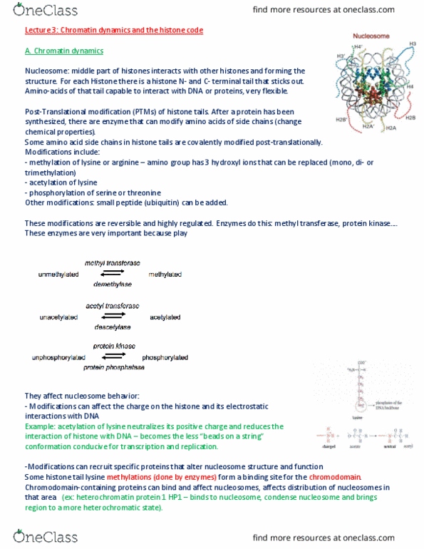 BIOL 200 Lecture Notes - Lecture 3: Heterochromatin Protein 1, Chromodomain, Histone Code thumbnail