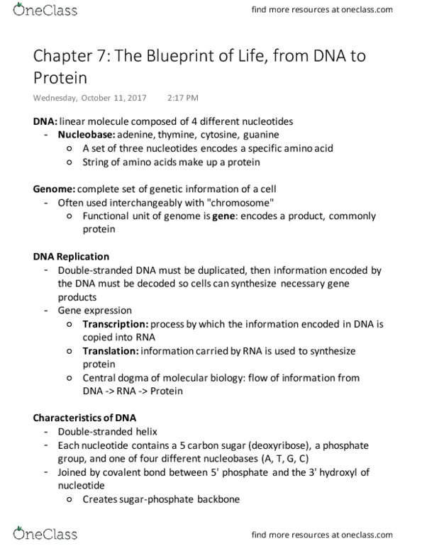 MICROM 301 Chapter Notes - Chapter 7: Nucleobase, Covalent Bond, Deoxyribose thumbnail