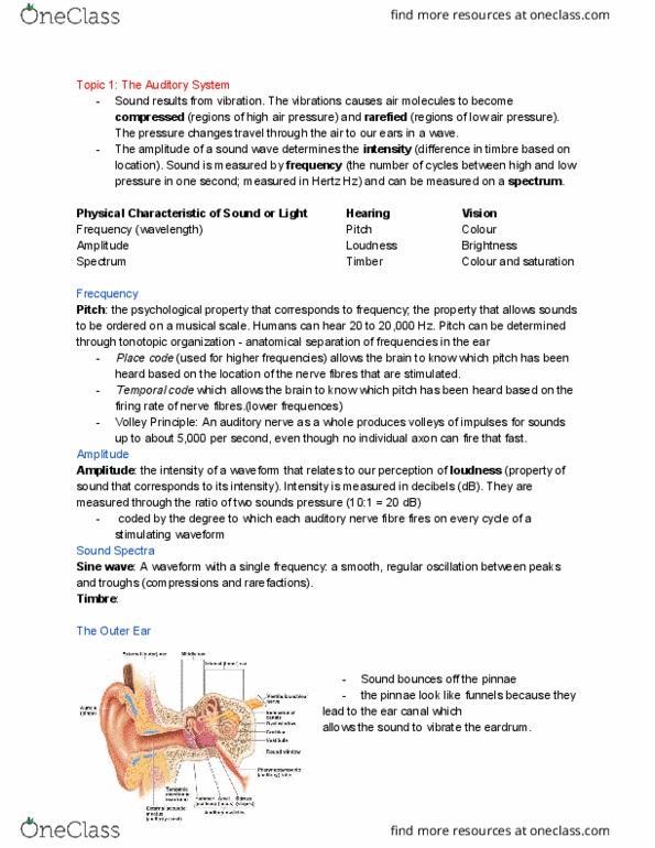 PSYC 100 Lecture Notes - Lecture 10: Inner Ear, Basilar Membrane, Sine Wave thumbnail