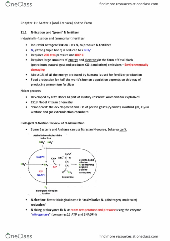 MICB 201 Lecture Notes - Lecture 21: Fritz Haber, Root Nodule, Rhizobium thumbnail