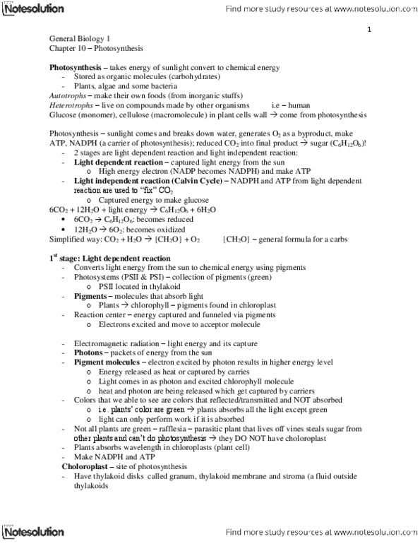 BIOSC 0150 Lecture Notes - Carbon Fixation, Carbohydrate, Atp Synthase thumbnail