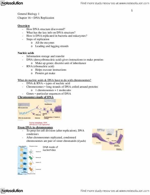 BIOSC 0150 Lecture Notes - Henrietta Lacks, Okazaki Fragments, Escherichia Coli thumbnail