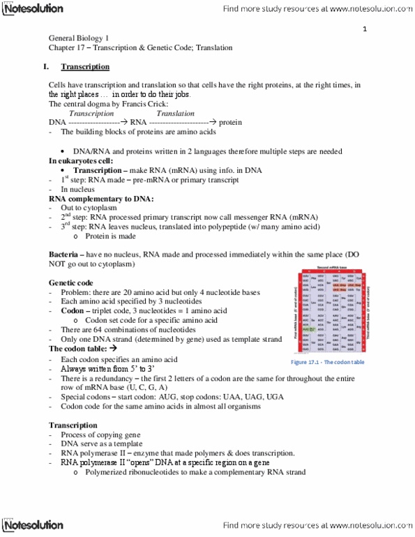 BIOSC 0150 Lecture : ch.17 - Transcription & Genetic Code. Translation_need to print out.docx thumbnail
