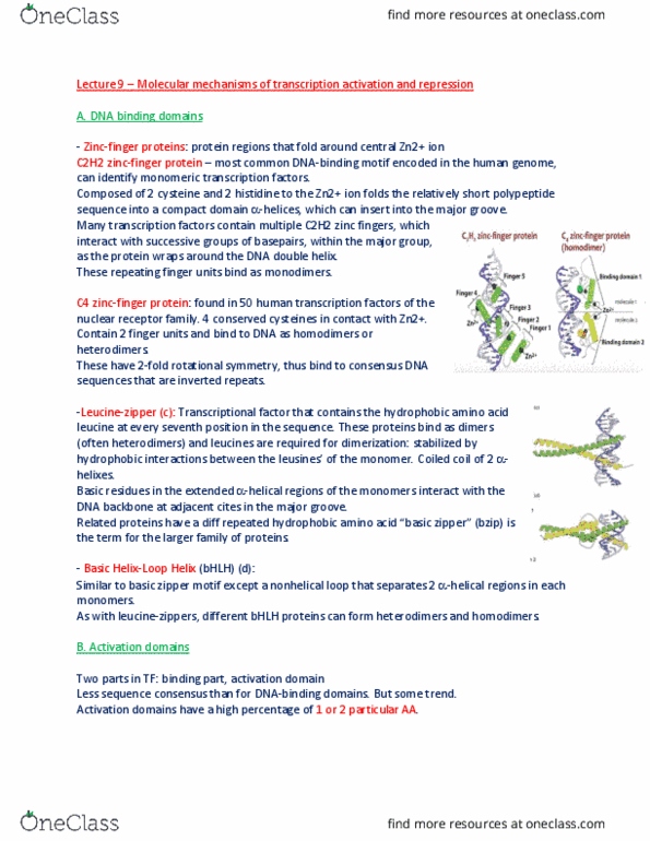 BIOL 200 Lecture Notes - Lecture 9: Creb-Binding Protein, Leucine Zipper, Dna-Binding Domain thumbnail