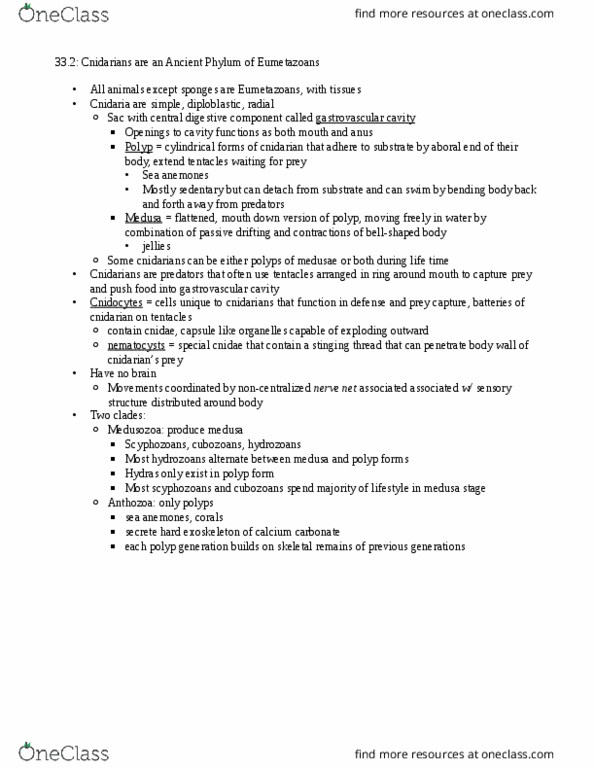 BIOL 204 Chapter Notes - Chapter 33-2: Gastrovascular Cavity, Medusozoa, Nerve Net thumbnail