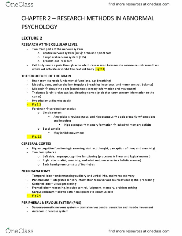 Psychology 2030A/B Lecture Notes - Lecture 2: Central Nervous System, Peripheral Nervous System, Corpus Callosum thumbnail