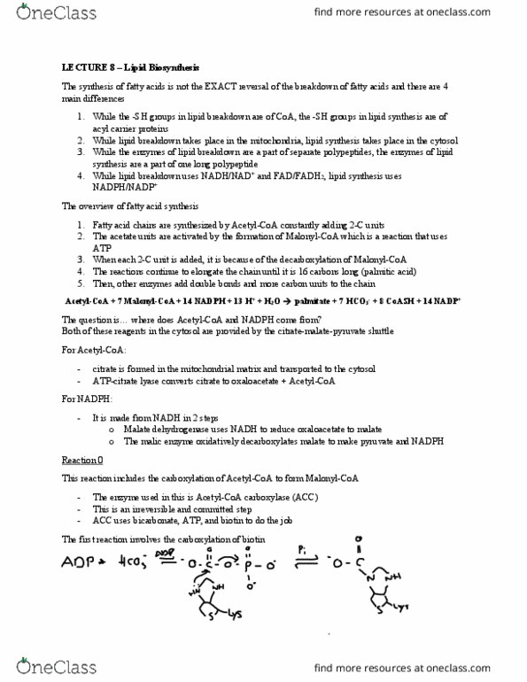 CHM362H5 Lecture Notes - Lecture 8: Malate Dehydrogenase, Malic Acid, Mitochondrial Matrix thumbnail