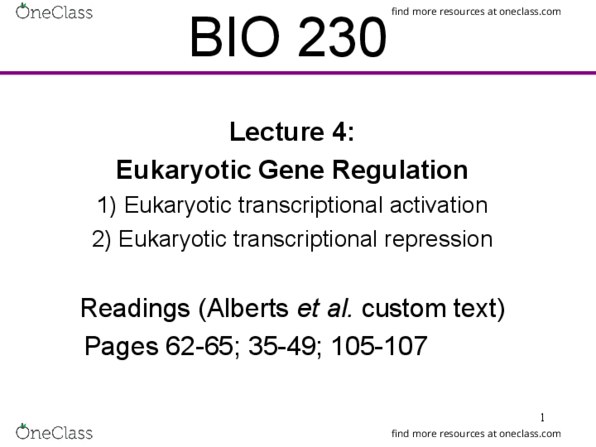 BIO230H1 Lecture Notes - Lecture 4: Eukaryotic Transcription, Prokaryote, Methylation thumbnail
