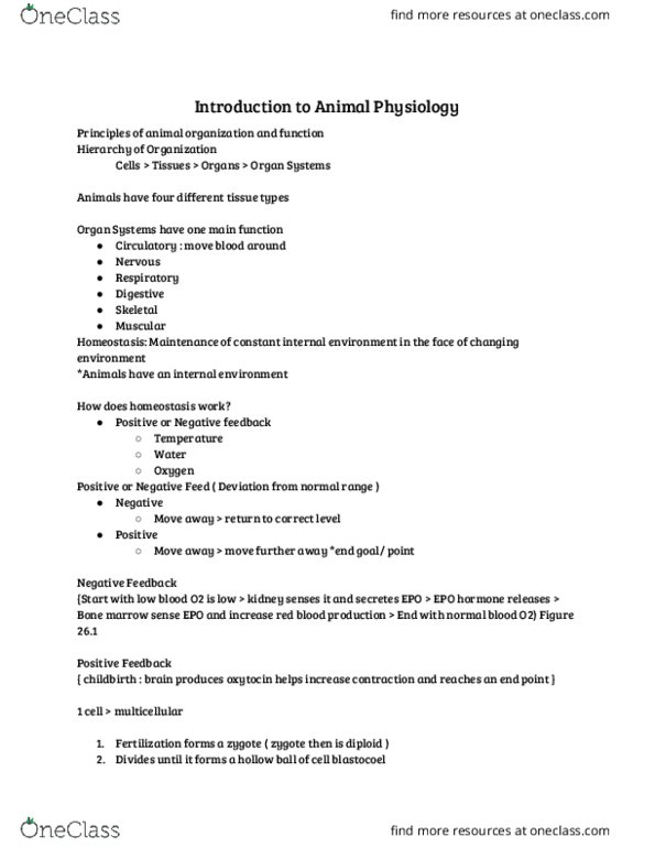 BIOL 101 Lecture Notes - Lecture 14: Bone Marrow, Negative Feedback, Blastocoel thumbnail