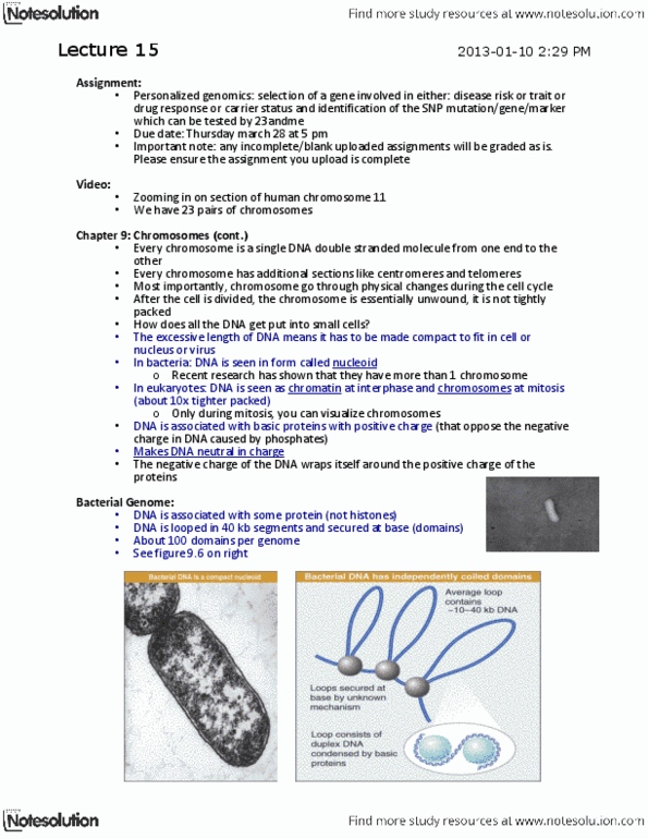 BIOL 2131 Lecture Notes - Lecture 15: Centromere, Spindle Apparatus, Kinetochore thumbnail