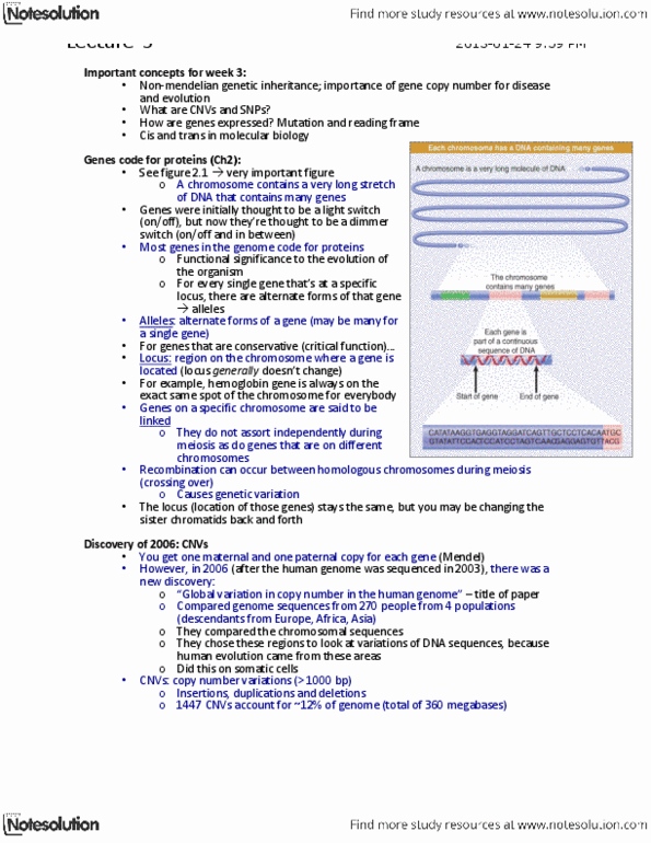 BIOL 2131 Lecture Notes - Lecture 5: Cysteine, Amylase, Wild Type thumbnail