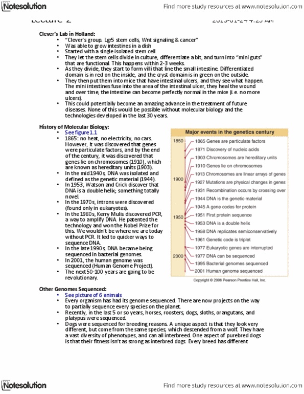 BIOL 2131 Lecture Notes - Lecture 2: Microrna, Transfer Rna, Ribosomal Rna thumbnail