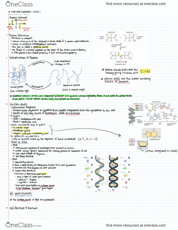 ASCI 112 Lecture 6: Cells and Organelles thumbnail