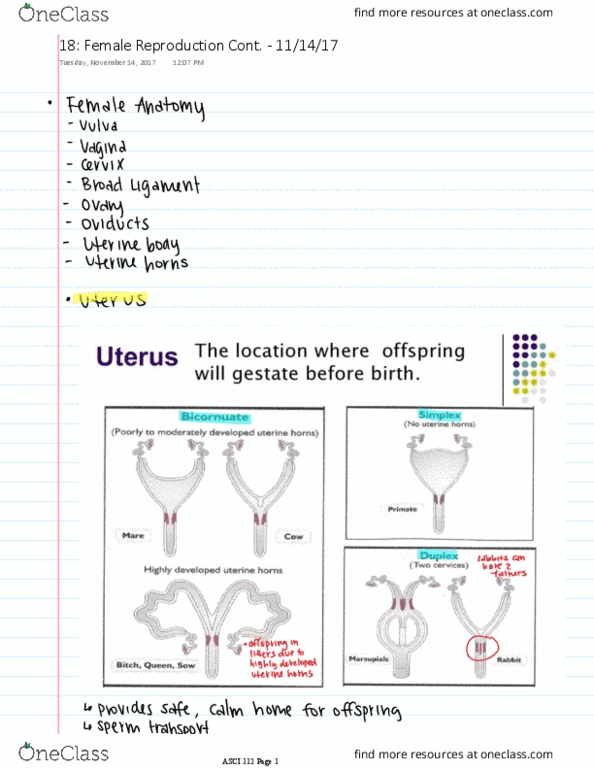 ASCI 112 Lecture 18: Female Reproduction Cont. thumbnail