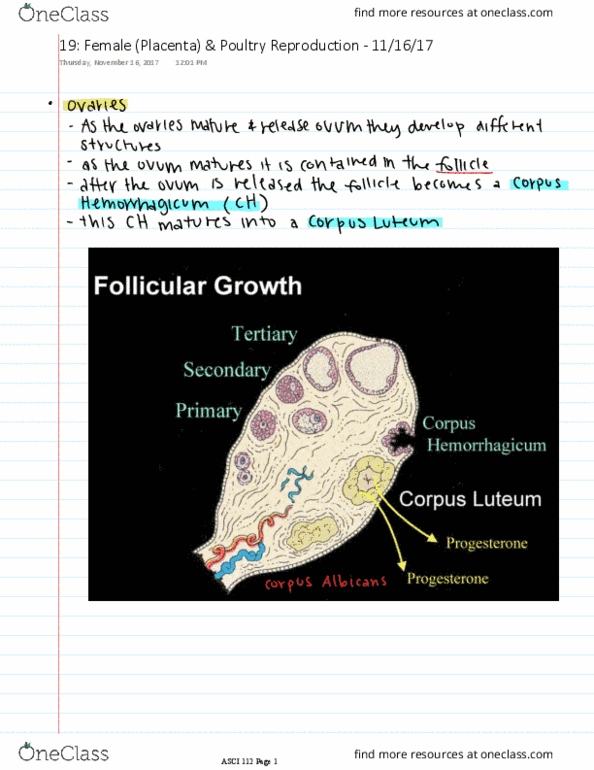 ASCI 112 Lecture 19: Female (Placenta) & Poultry Reproduction thumbnail