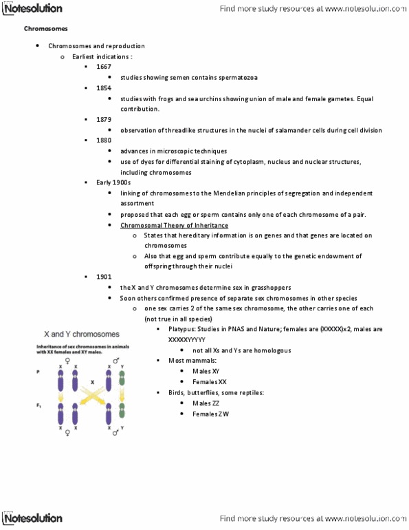 BIOL239 Lecture Notes - Proceedings Of The National Academy Of Sciences Of The United States Of America, Y Chromosome, Chromosome thumbnail