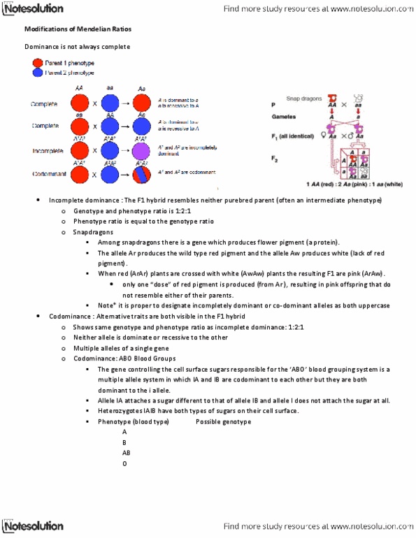 BIOL239 Lecture Notes - Lethal Allele, F1 Hybrid, Allele Frequency thumbnail