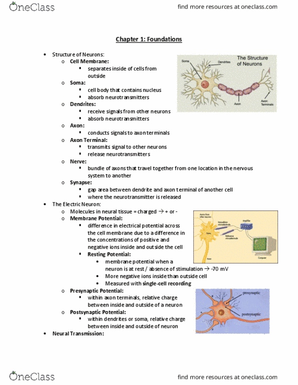 PSY 30440 Lecture Notes - Lecture 1: Excitatory Postsynaptic Potential, Inhibitory Postsynaptic Potential, Axon Terminal thumbnail