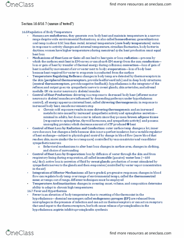 PHSL 310 Lecture Notes - Lecture 7: Thermogenesis, Brown Adipose Tissue, Adrenal Medulla thumbnail