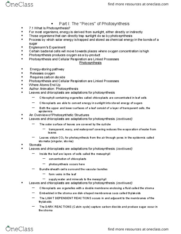 BIOL 1001 Lecture Notes - Lecture 7: Light-Independent Reactions, Thylakoid, Chloroplast thumbnail