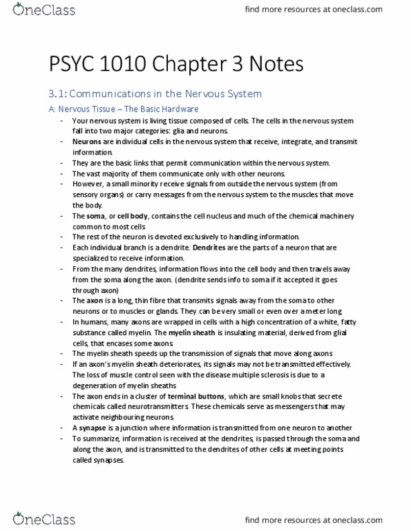 PSYC 1010 Chapter Notes - Chapter 3: Myelin, Axon Terminal, Neuroglia thumbnail