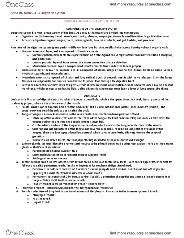 ANAT 100 Lecture Notes - Lecture 10: Dense Irregular Connective Tissue, Lamina Propria, Deciduous Teeth thumbnail