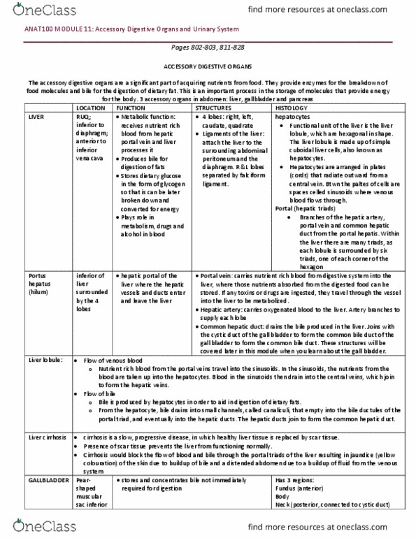 ANAT 100 Lecture Notes - Lecture 11: Common Hepatic Duct, Common Bile Duct, Cystic Duct thumbnail