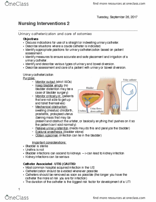 NRSG 3323 Lecture Notes - Lecture 2: Urinary Catheterization, Hospital-Acquired Infection, Epidural Administration thumbnail