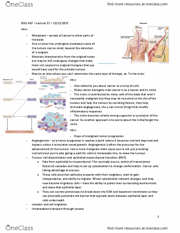 BIOL 467 Lecture Notes - Lecture 21: Anoikis, Angiogenesis, Metastasis thumbnail