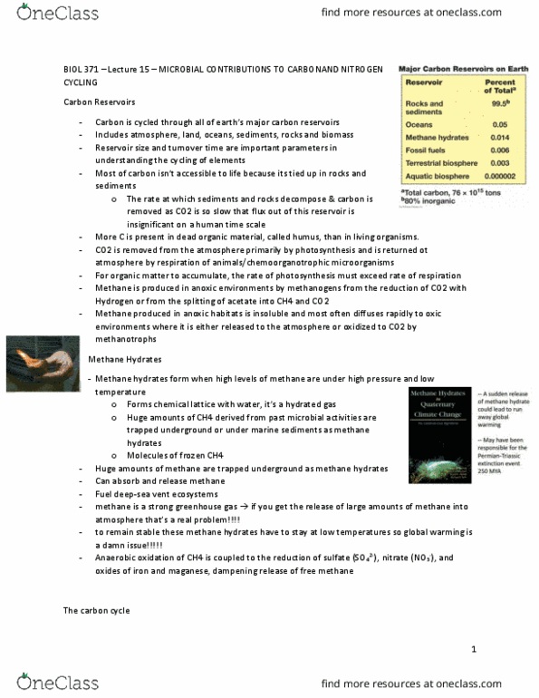 BIOL 371 Lecture Notes - Lecture 15: Nitrogen Fixation, Anaerobic Respiration, Carbon Cycle thumbnail